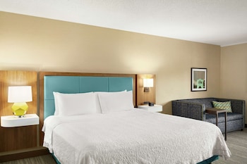 Studio, 1 King Bed, Accessible