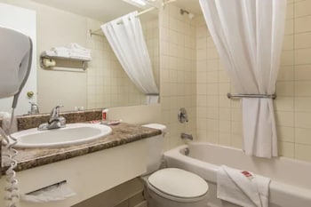 Standard Double Room, 2 Double Beds, Non Smoking