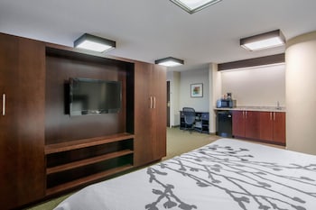 Suite, 1 King Bed with Sofa bed, Non Smoking