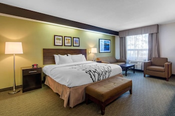 Upgrade Room, King Bed with Sofabed, Non Smoking