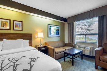 Upgrade Room, King Bed with Sofabed, Non Smoking
