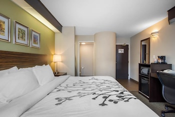 Upgrade Room, King Bed with Sofabed, Non Smoking