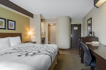 Traditional Room, 1 King Bed, Non Smoking