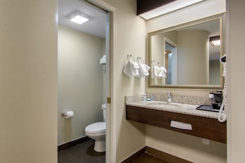 Suite, 1 King Bed with Sofa bed, Non Smoking