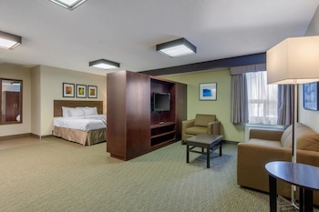 Suite, 1 King Bed with Sofa bed, Non Smoking