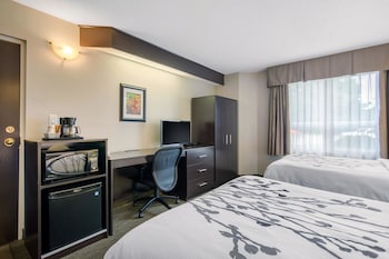 Standard Room, 2 Double Beds, Ground Floor