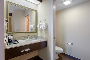 Traditional Room, 1 King Bed, Non Smoking