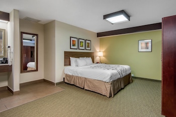 Suite, 1 King Bed with Sofa bed, Non Smoking