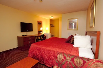 Standard Room, 1 King Bed with Sofa bed