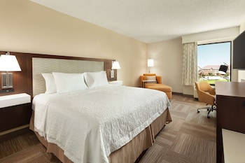 Room, 1 King Bed