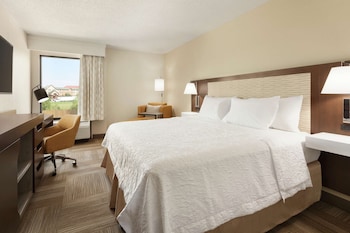 Room, 1 King Bed
