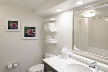 Room, 1 King Bed with Sofa bed, Non Smoking