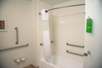 Room, 1 King Bed, Accessible, Bathtub