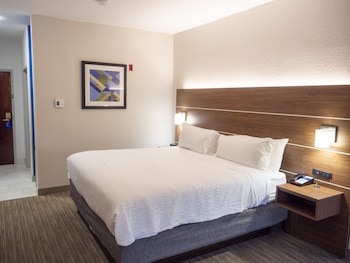 Suite, 1 King Bed with Sofa bed