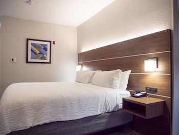 Suite, 1 King Bed with Sofa bed