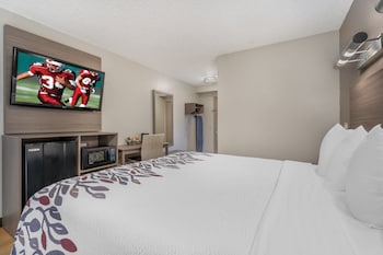 Standard Room, 1 King Bed, Non Smoking