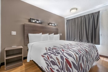 Standard Room, 1 King Bed, Non Smoking