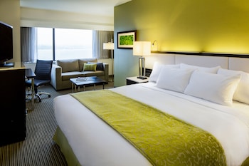 Studio Suite, 1 King Bed