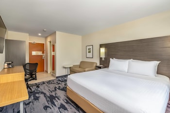 Room, 1 King Bed, Non Smoking