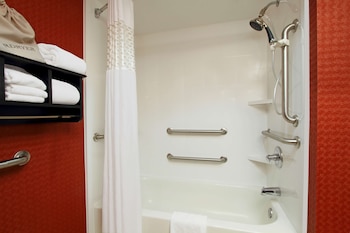 Room, 1 King Bed, Accessible, Bathtub (Mobility & Hearing)