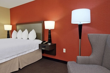 Room, 1 King Bed, Accessible, Bathtub (Mobility & Hearing)