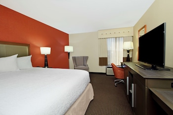 Room, 1 King Bed, Accessible, Bathtub (Mobility & Hearing)