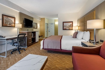 Standard Room, 1 King Bed, Non Smoking, Refrigerator & Microwave (with Sofabed)
