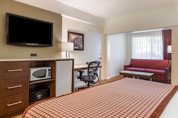 Standard Room, 1 King Bed, Accessible, Non Smoking (Larger Room;with Sofabed)