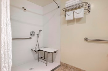 Standard Room, 1 King Bed, Accessible, Non Smoking (Larger Room;with Sofabed)