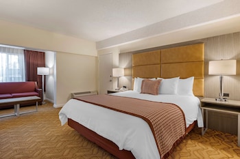 Standard Room, 1 King Bed, Accessible, Non Smoking (Larger Room;with Sofabed)