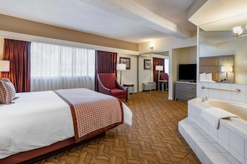Suite, 1 King Bed, Non Smoking (Living Room;with Sofabed)