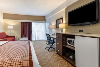 Standard Room, 1 King Bed, Non Smoking, Refrigerator & Microwave (with Sofabed)