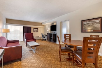 Suite, 1 King Bed, Non Smoking (Living Room;with Sofabed)