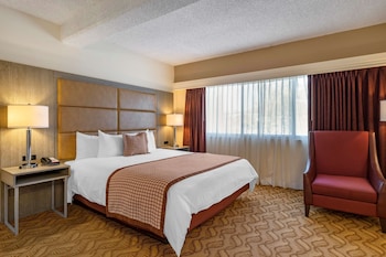 Suite, 1 King Bed, Non Smoking (Living Room;with Sofabed)