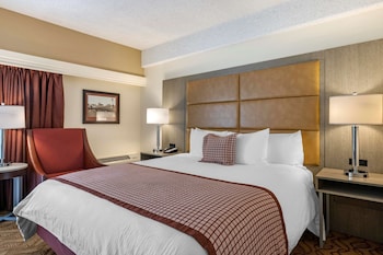 Standard Room, 1 King Bed, Non Smoking, Balcony (Freeway View)