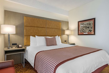 Standard Room, 1 King Bed, Non Smoking, Balcony (Freeway View)