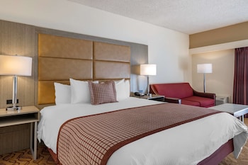 Standard Room, 1 King Bed, Non Smoking, Refrigerator & Microwave (with Sofabed)