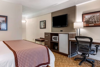 Standard Room, 1 King Bed, Accessible, Non Smoking (Larger Room;with Sofabed)