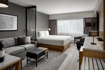 Room, 1 King Bed with Sofa bed