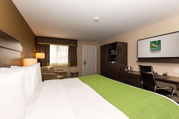 Standard Room, 1 King Bed, Non Smoking
