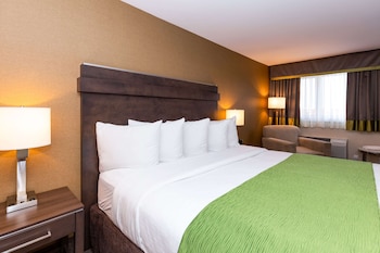 Standard Room, 1 King Bed, Non Smoking