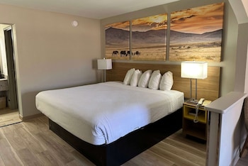 Standard Room, 1 King Bed