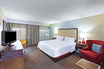 Room, 1 King Bed, Accessible, Non Smoking