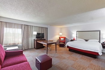 Room, 1 King Bed with Sofa bed, Non Smoking