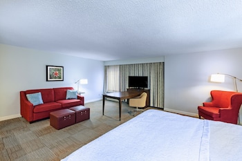 Room, 1 King Bed with Sofa bed, Non Smoking