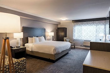 Standard Room, 1 King Bed, Accessible, Non Smoking (Roll-In Shower)