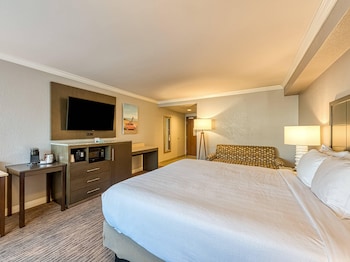 Standard Room, 1 King Bed, Accessible, Non Smoking (Accessible Tub)