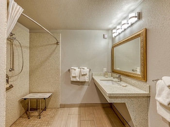 Standard Room, 1 King Bed, Accessible, Non Smoking (Roll-In Shower)