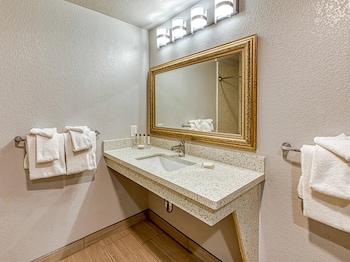 Standard Room, 1 King Bed, Accessible, Non Smoking (Roll-In Shower)