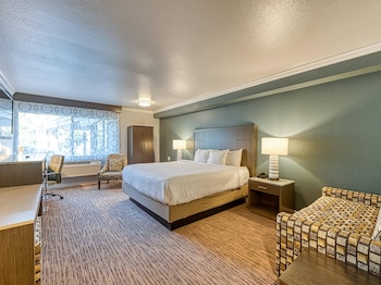 Standard Room, 1 King Bed, Accessible, Non Smoking (Roll-In Shower)